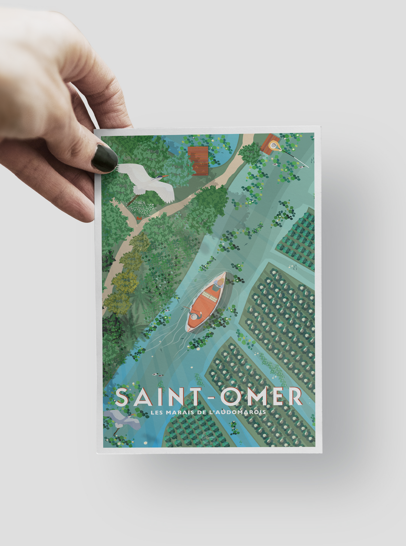 Carte Postale Saint-Omer - Les Marais de l'Audomarois